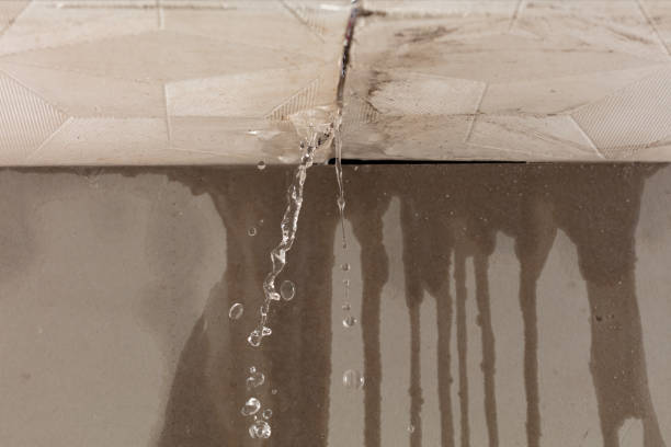 Professional Sewage Cleanup technician working in Springlake, TX